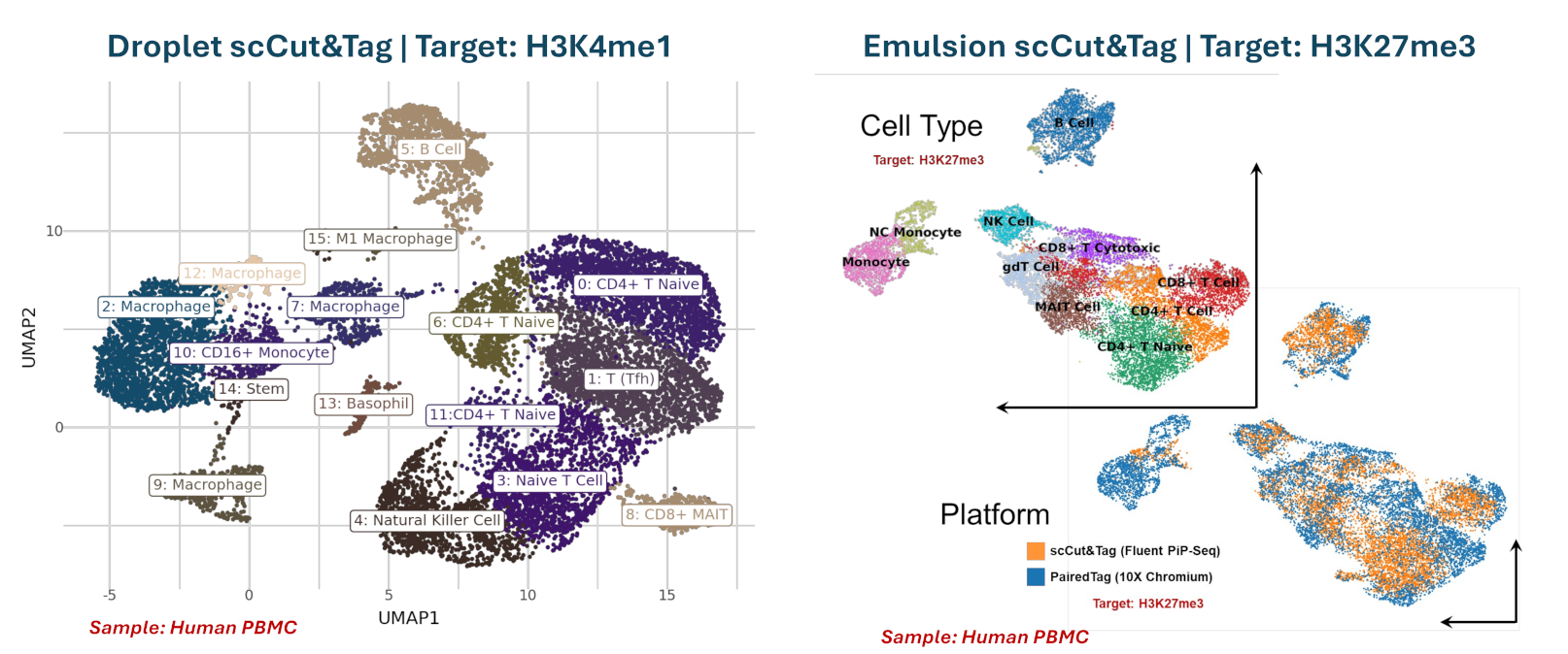 Single-Cell CUT&Tag