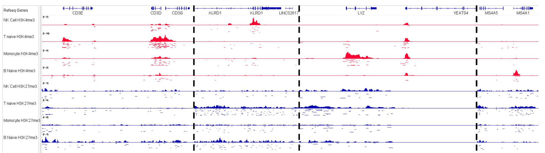 IGV of single-cell histone modification tracks and their summed pseudobulk