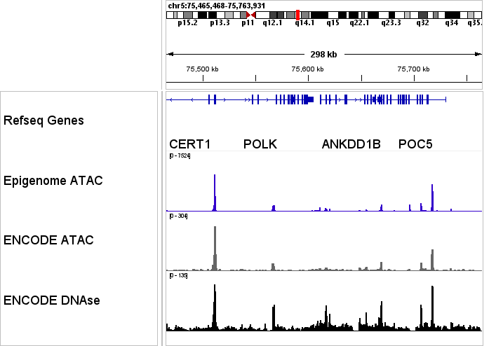ATAC-seq