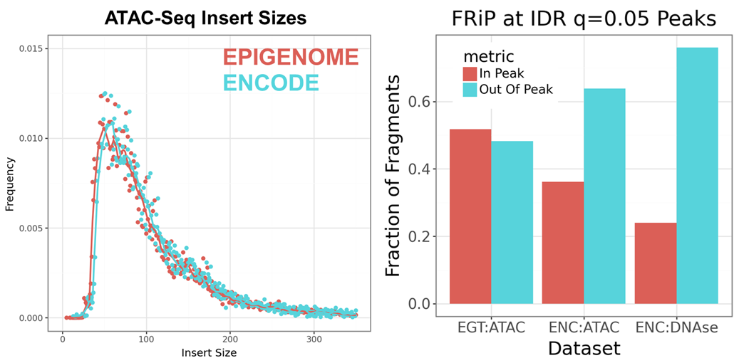 ATAC-seq quality metrics