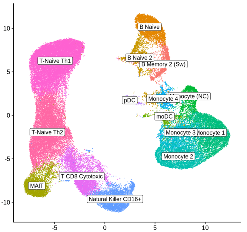 UMAP of human PBMC snRNA-seq data