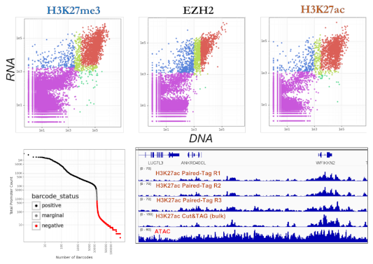 Multi-panel image showing RNA/DNA umi for multiple targets and IGV tracks for H3K27ac using Paired-Tag