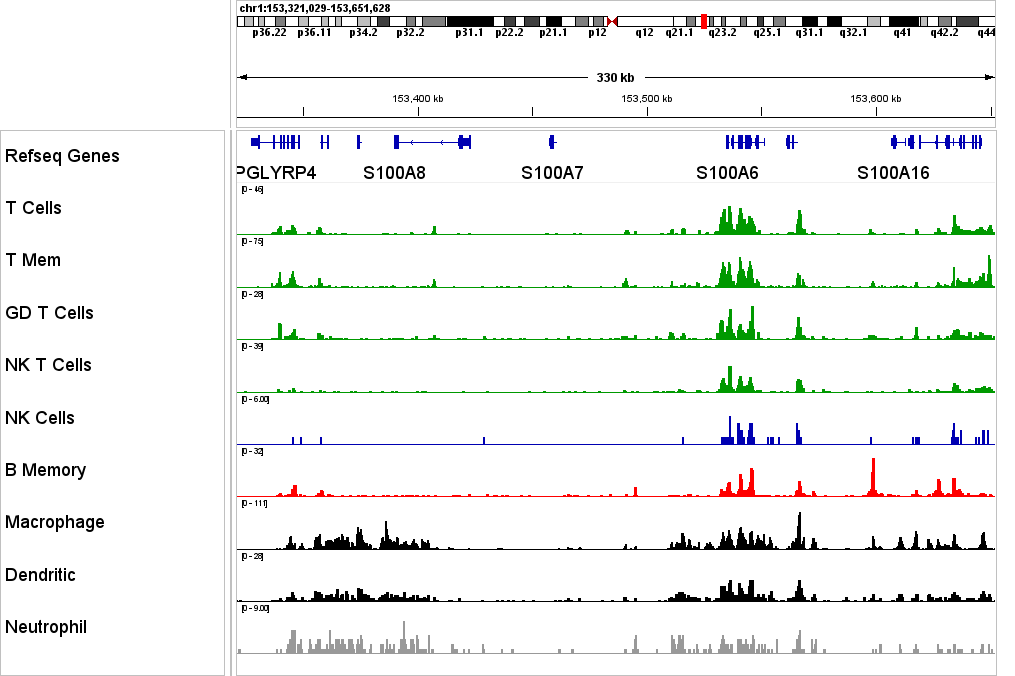 IGV screenshot of H3K4me1 scCUT&Tag