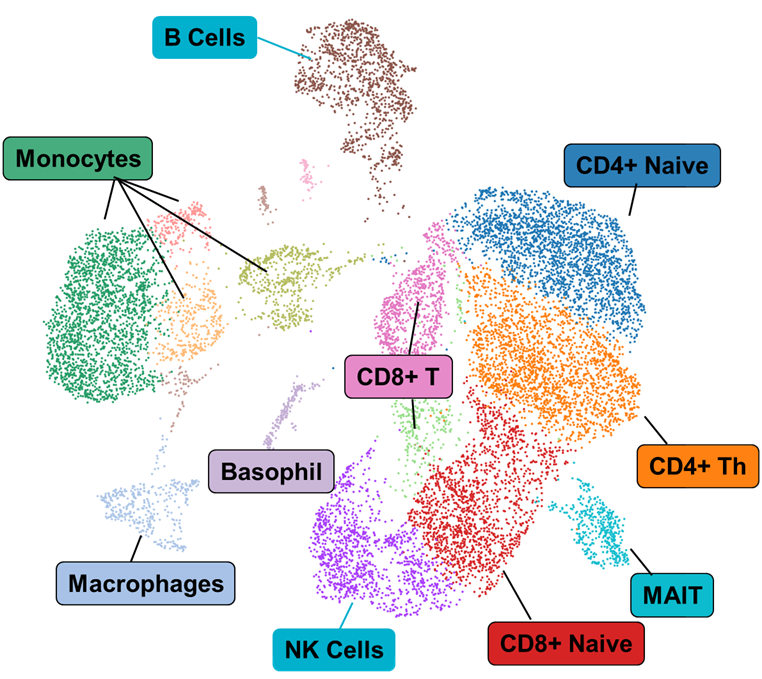 UMAP of human PBMC from H3K4me1 scCUT&Tag