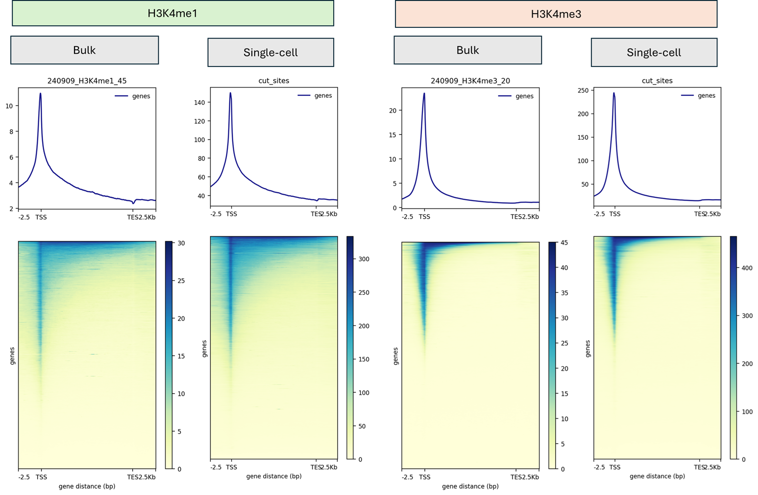 H3K4me1/H3K4me3 tsse for bulk and single-cell pseudobulk