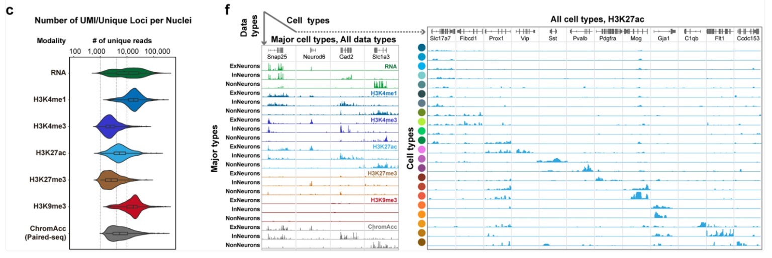 Figure showing RNA/DNA UMI and minature IGV tracks