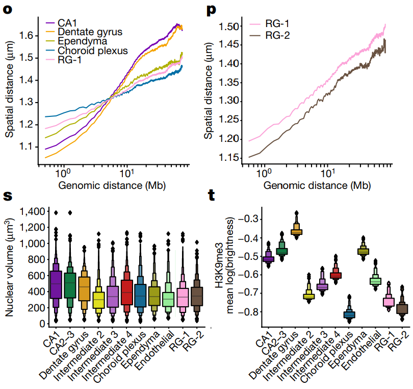 Four-panel plot describing conformoational and heterochromatin differences between developmental cell types
