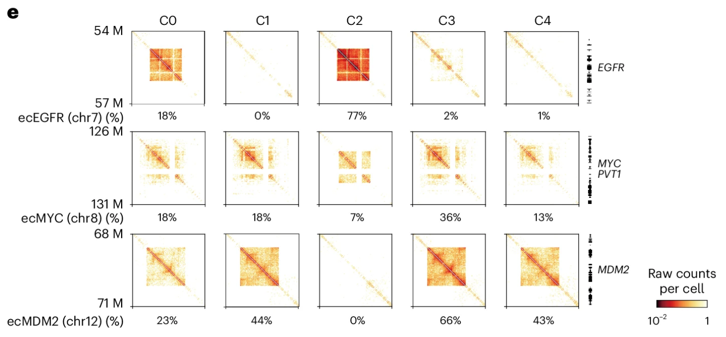 IGV tracks showing peak-TSS links