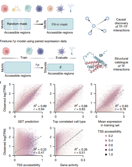 Multi-panel figure describing the data and training used for the model, and headline results