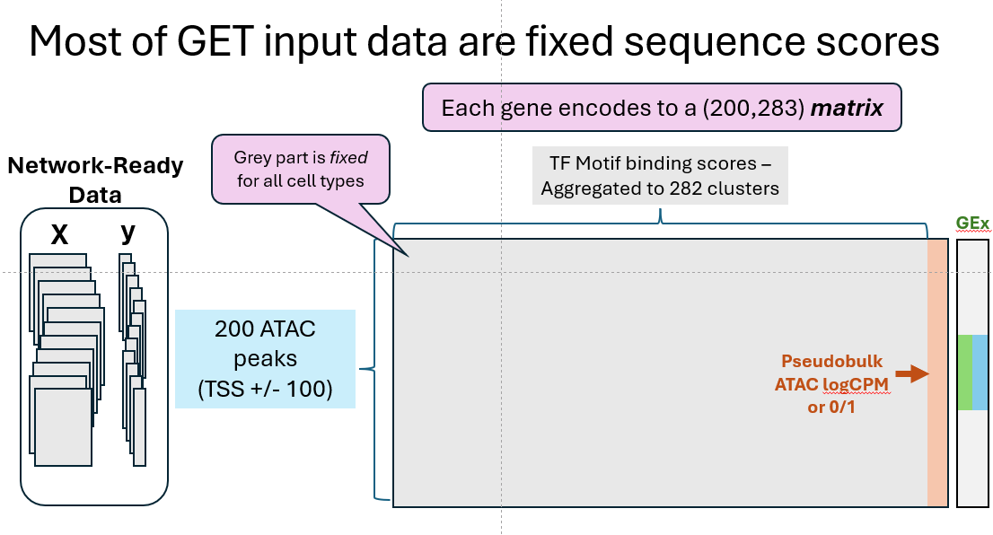 Cartoon of masking and training protocol
