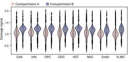 Damage signal violins for compartments A and B across cell types.