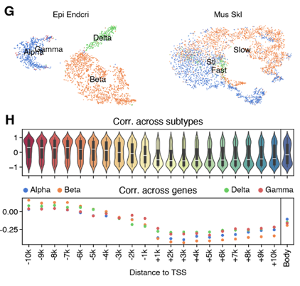 UMAP clustering and correlation violins with TSS-distance plot.