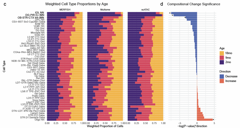 Single-nucleus multi-omic atlas of brain aging across eight regions in the mouse. 