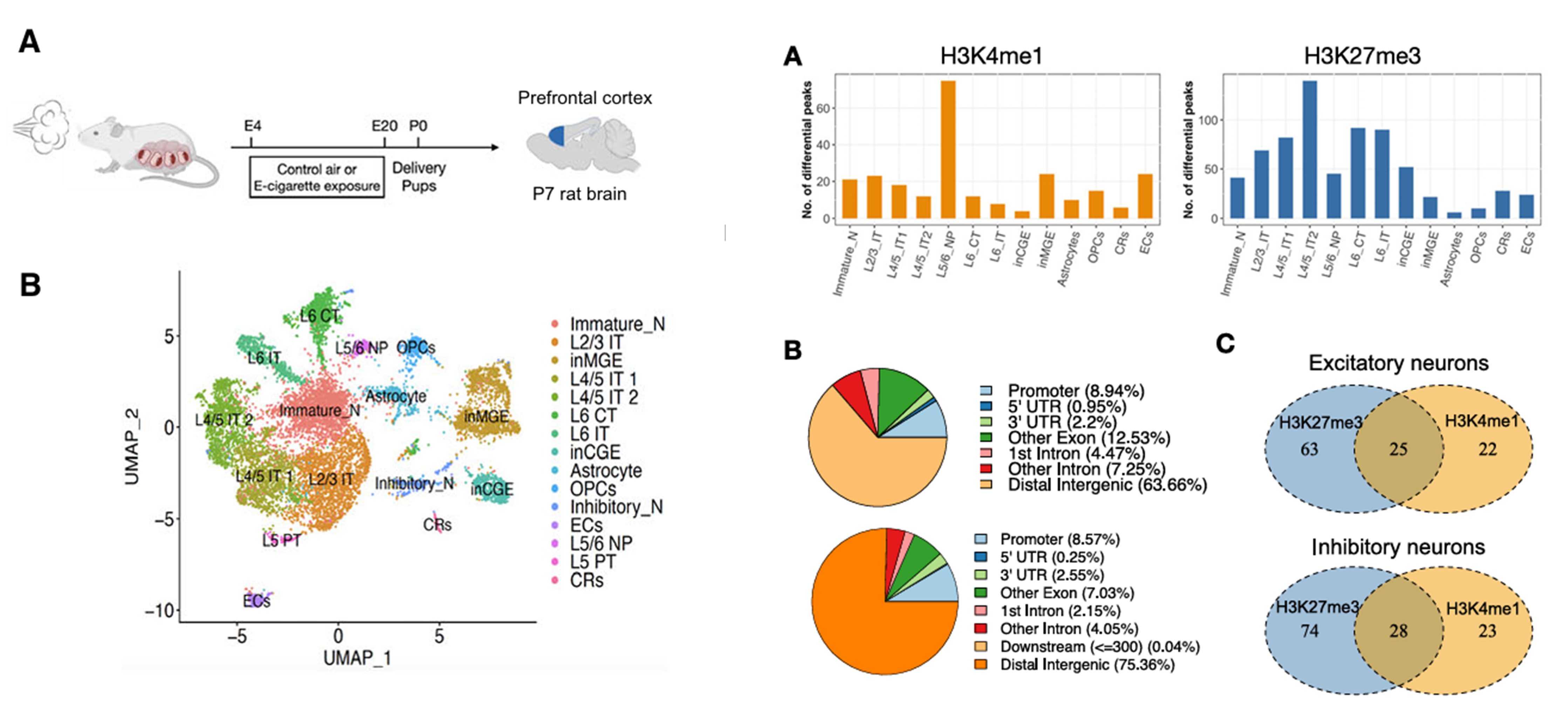 Composite Scientific Image built from two figures of Chen et al.