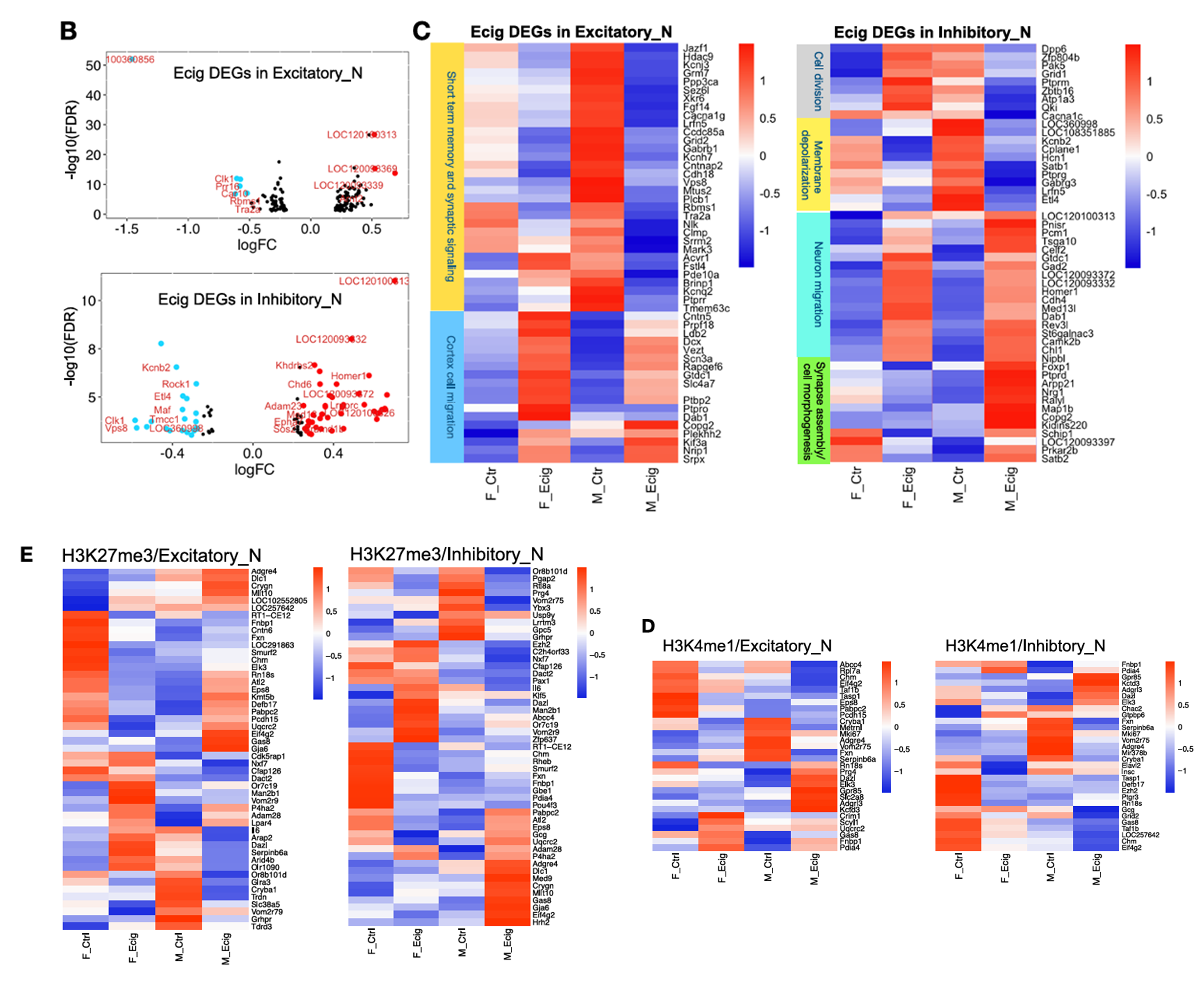 Composite scientific figure from figures 3 and 4 of Chen et al.
